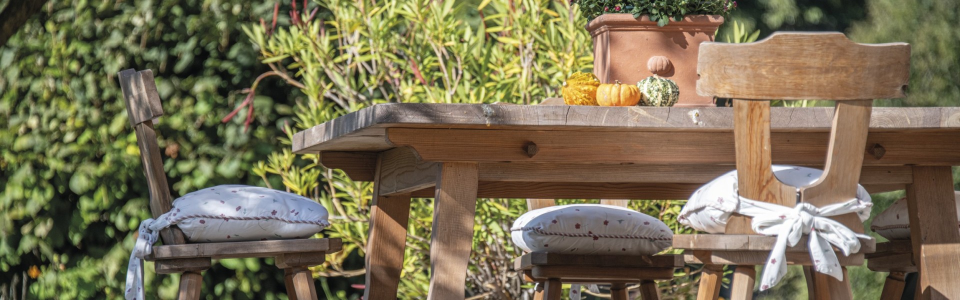 Un vecchio tavolo e sedie in legno nel verde giardino che cresce e fiorisce.