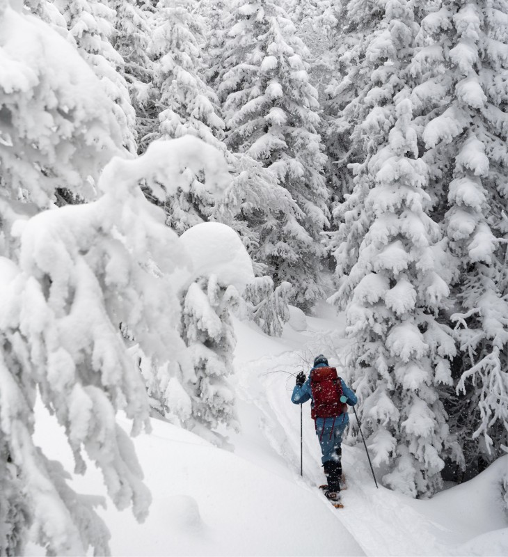 Un escursionista con le racchette da neve in un paesaggio innevato sotto i rami bianchi delle conifere.